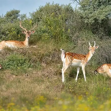 Liv Bed and breakfast 3*