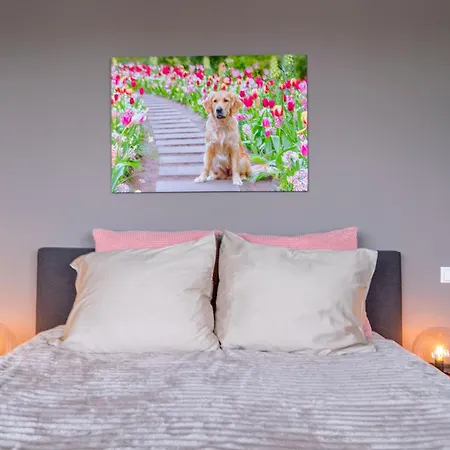 Liv Bed & Breakfast