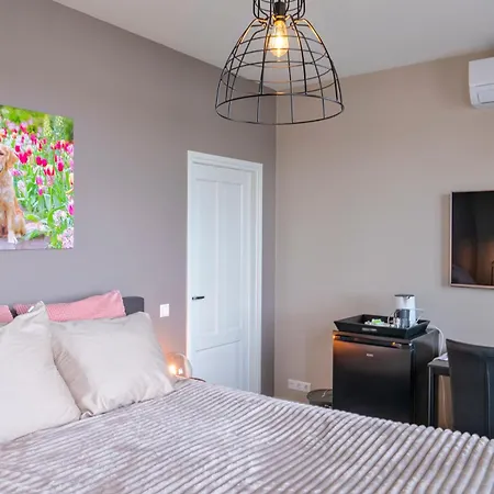 Liv Bed and breakfast Hillegom