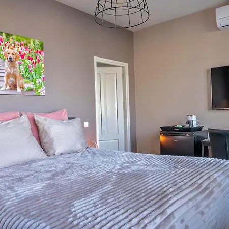 Bed & Breakfast Liv Hillegom