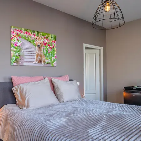 Bed & Breakfast Liv Hillegom