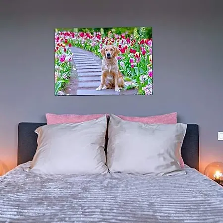 Liv B&B 3*