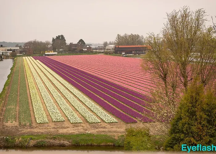 Liv לינה וארוחת בוקר הילחום