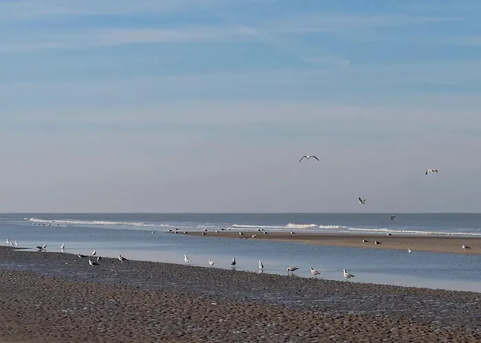 Bed & Breakfast Liv Hillegom