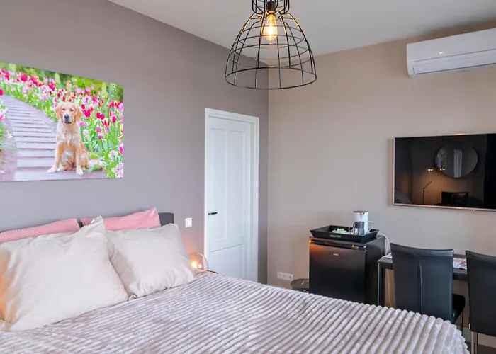 Liv Bed & Breakfast Hillegom